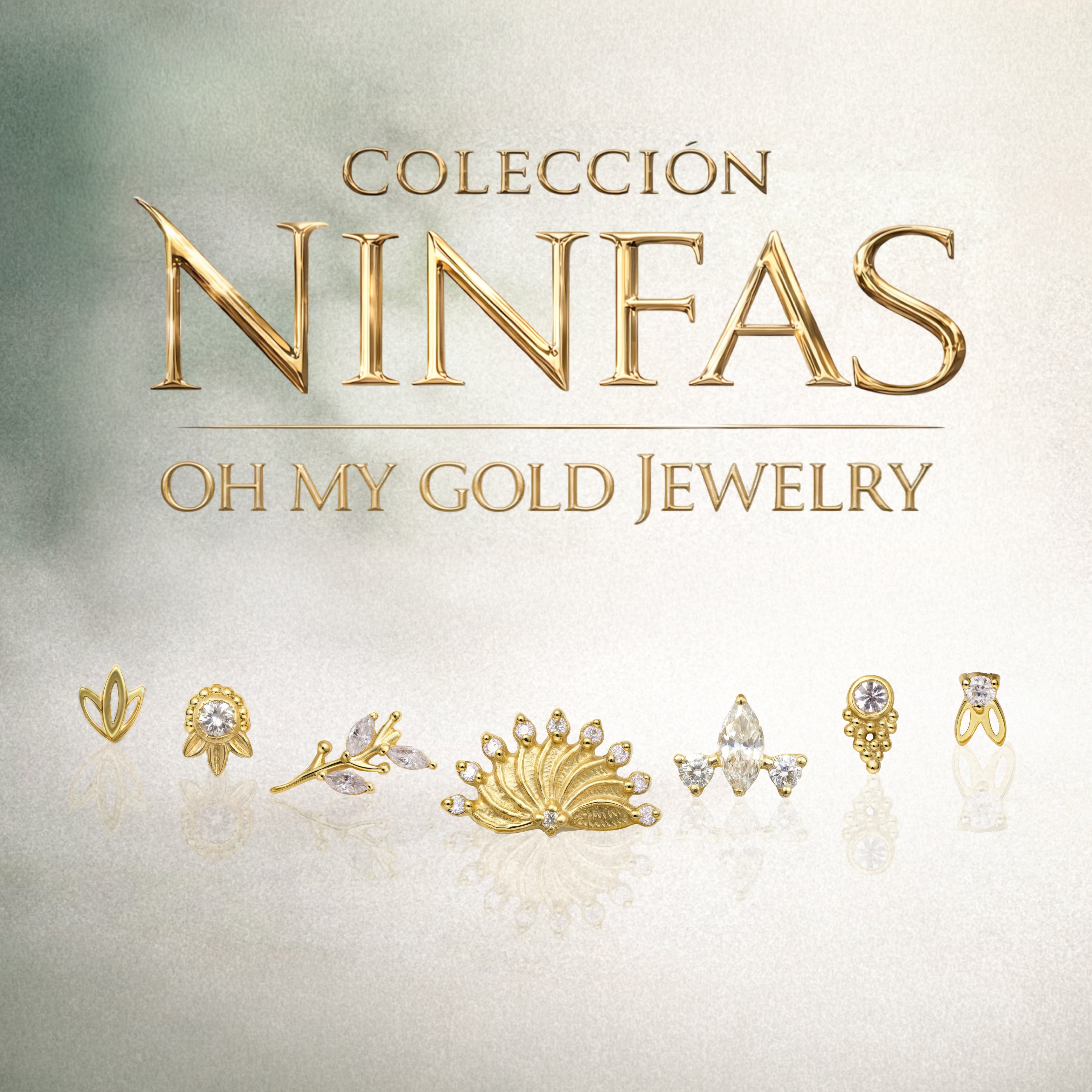 Image of NINFAS