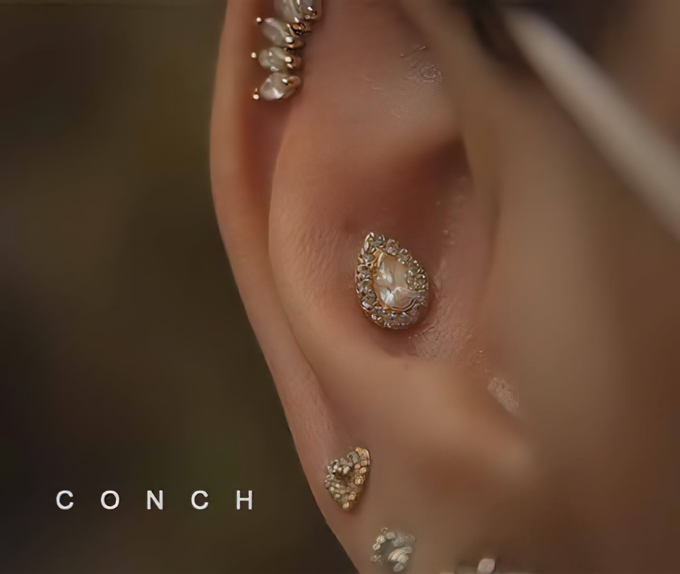 Conch