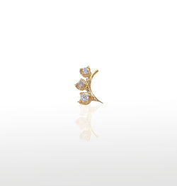 Image of FROND