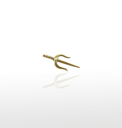 Image of SAI